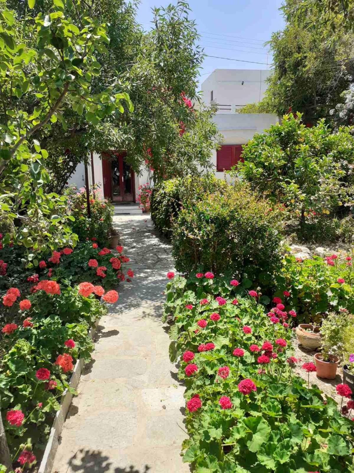 Ferienwohnung Kipos Apollonía Exterior foto